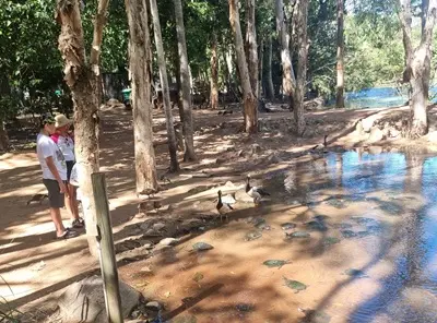 Townsville with Kids guide, Townsville