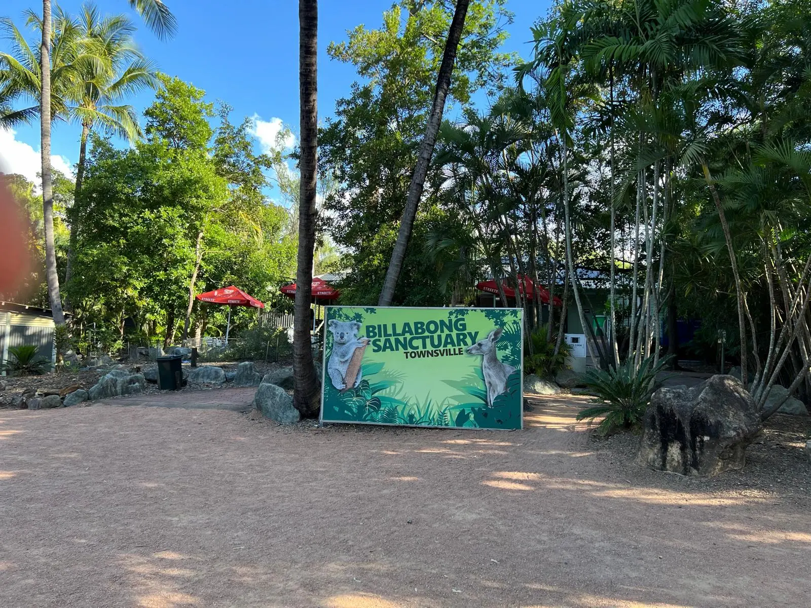 Billabong Sanctuary Townsville entrance sign surrounded by lush palm trees