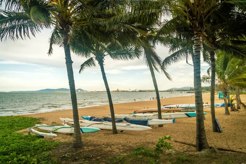 Outrigger canoes resting on the sand under coconut palms at The Strand beach in Townsville, with the port and Magnetic Island on the horizon