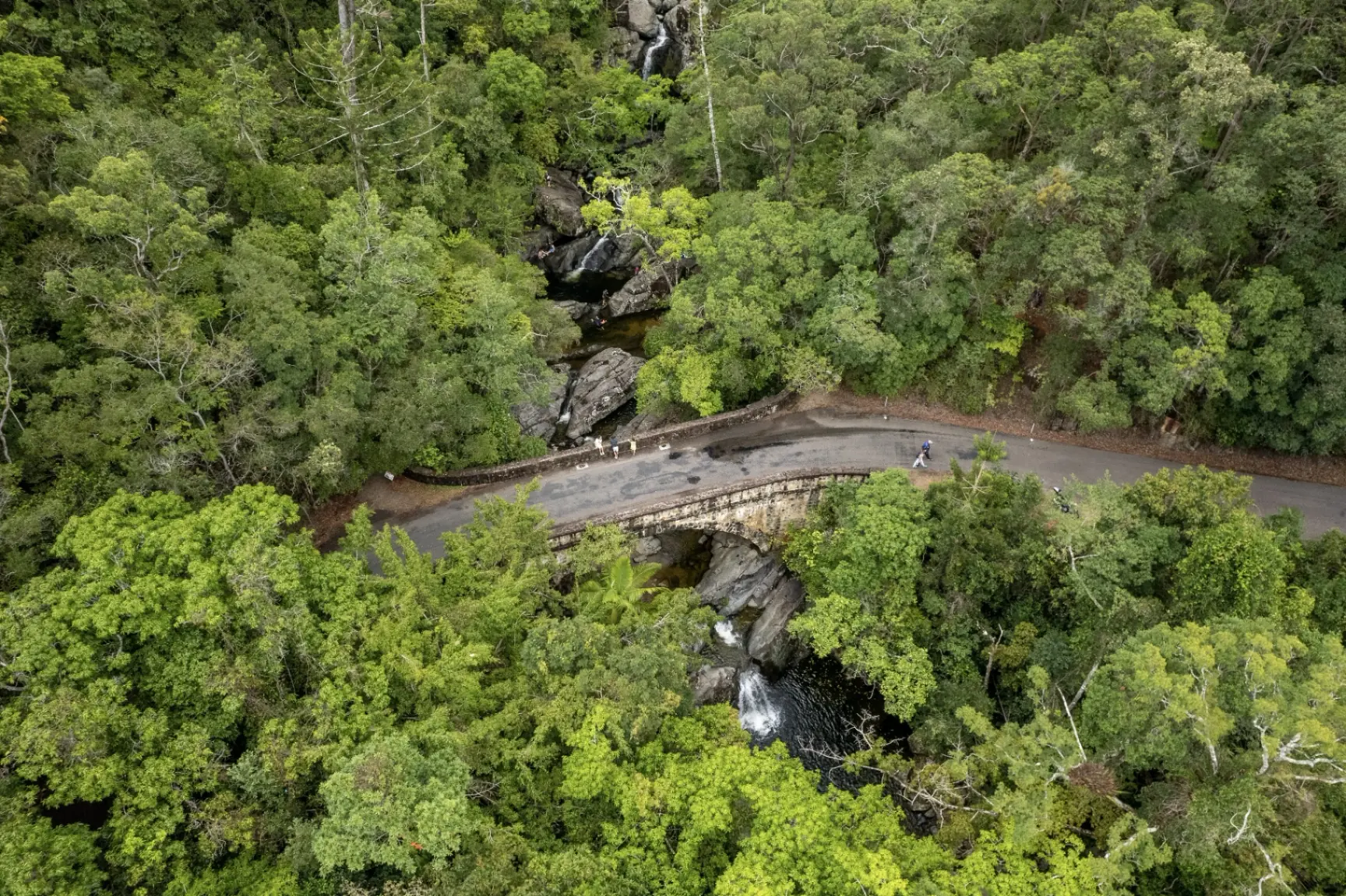 Aerial view of Little Crystal Creek stone arch bridge surrounded by rainforest