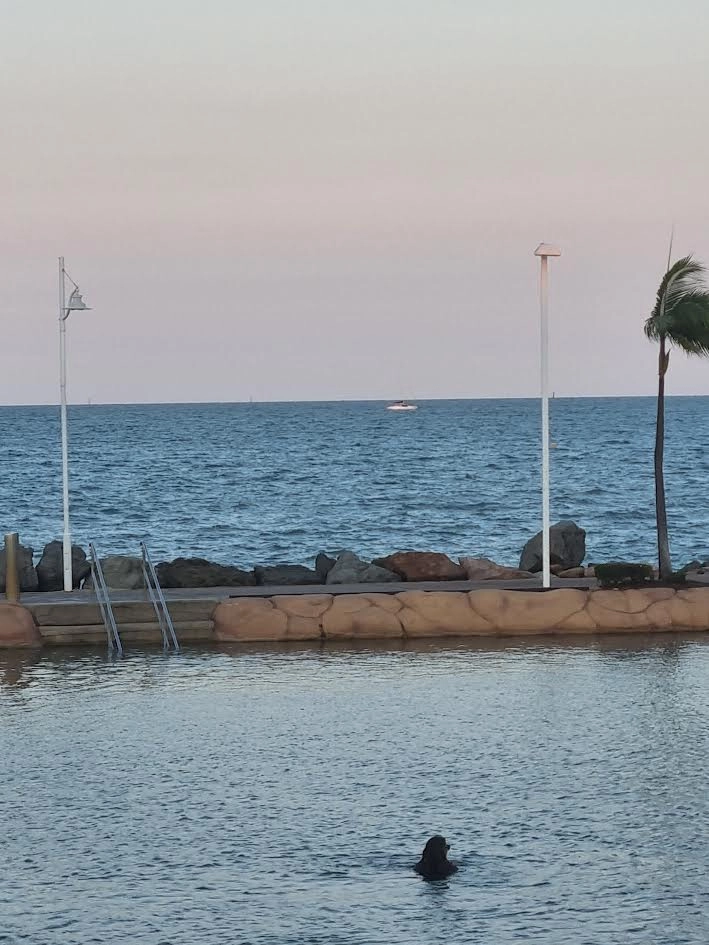 The Strand Rockpool saltwater swimming lagoon in Townsville