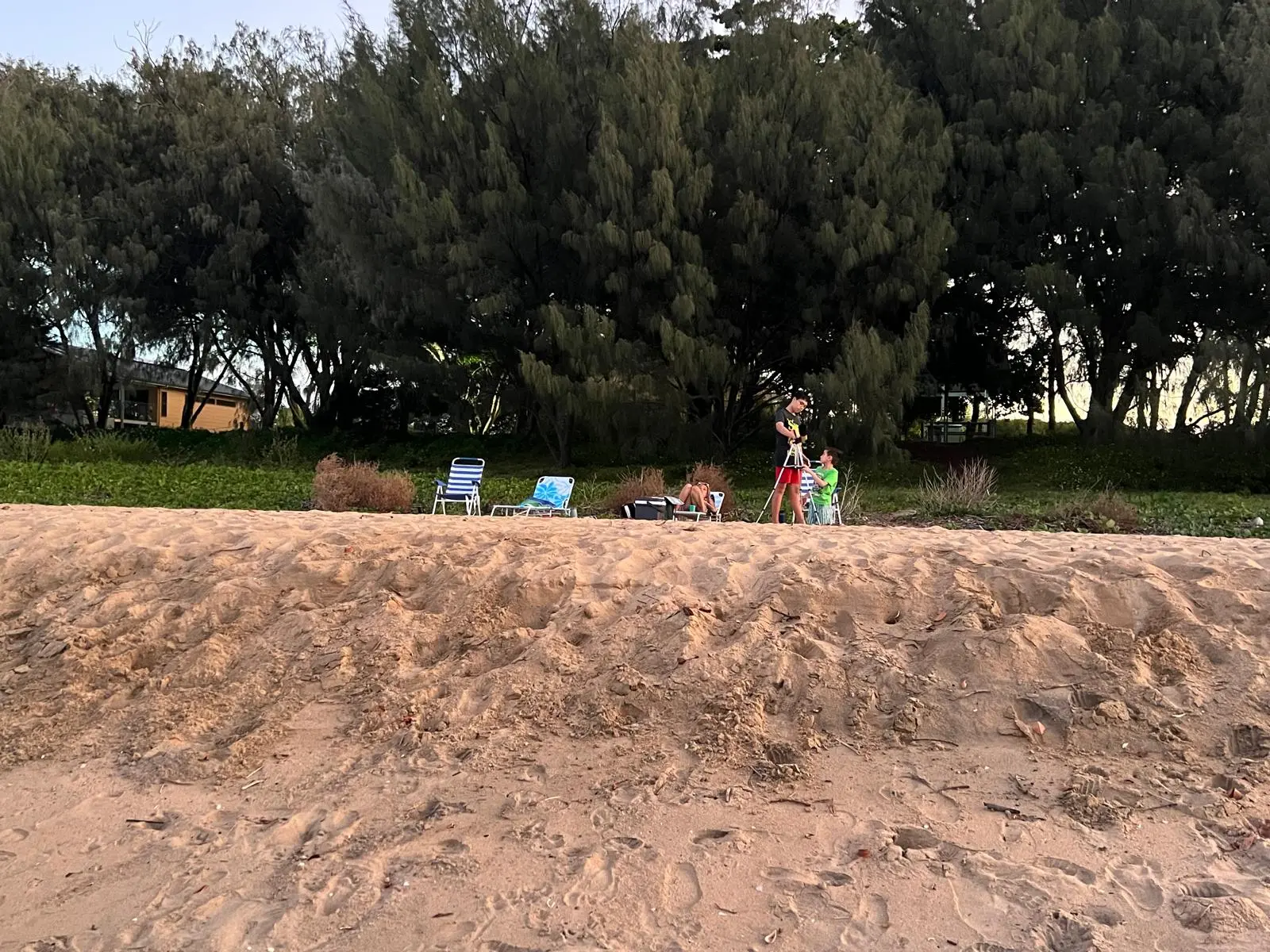Family beach setup with chairs and shade under the tree line at Saunders Beach.