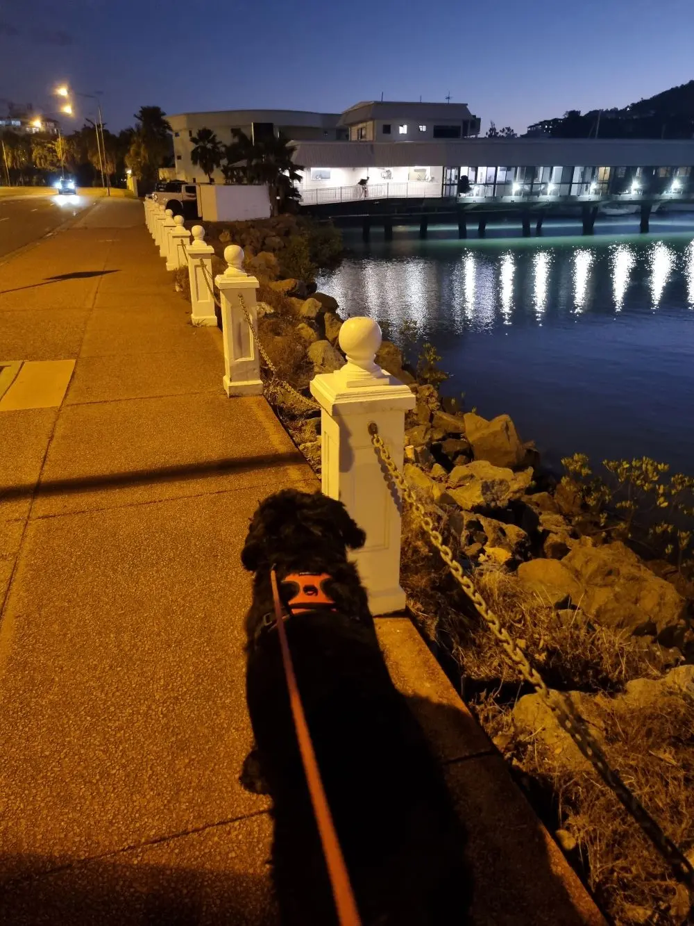 Sunset walk along the Breakwater in Townsville with golden light over Cleveland Bay