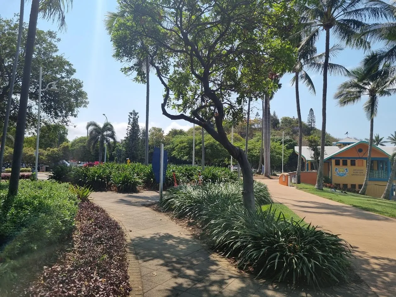 The Strand Townsville foreshore walkway with palm trees and tropical waterfront